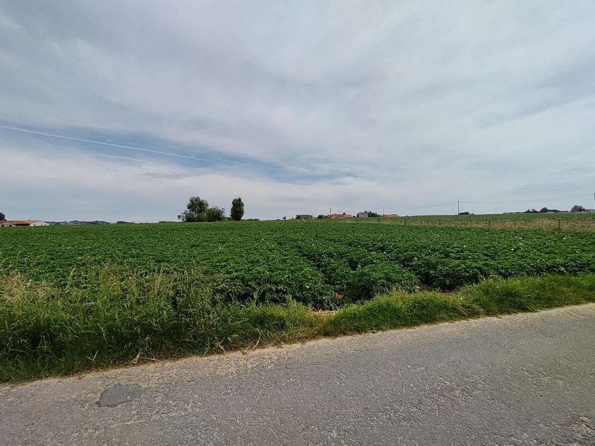 Mote26 Villa Ingooigem Buitenkant foto